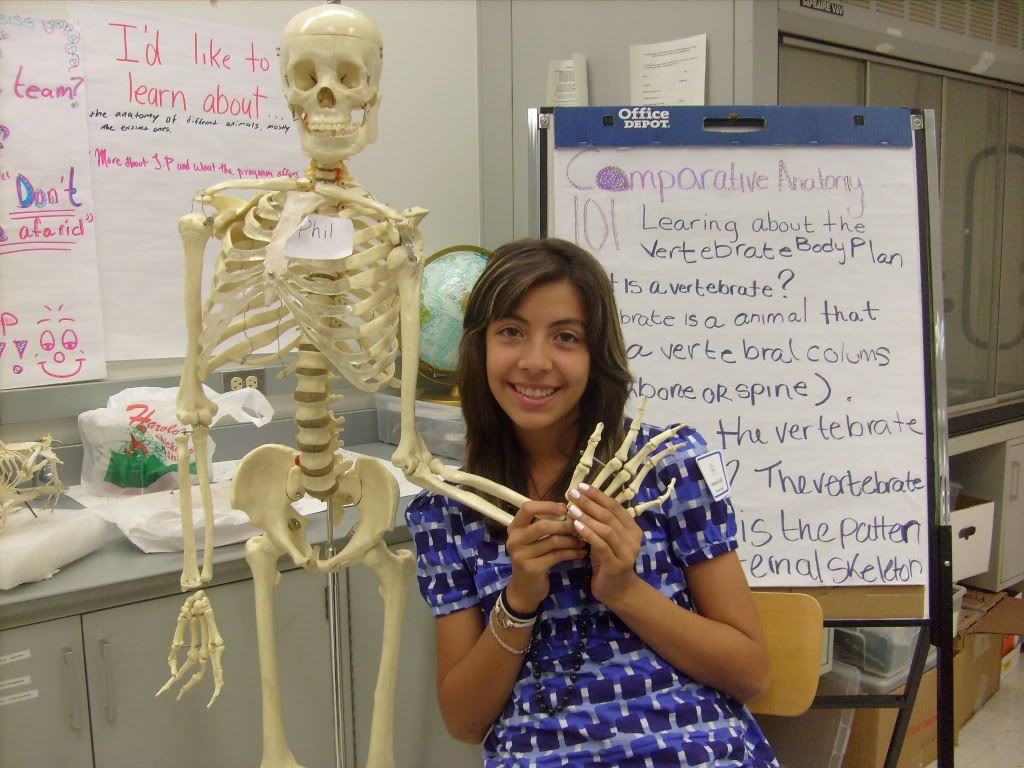 JP team member, Genesis, with a skeleton at the Comparative Anatomy station