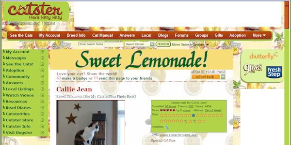 Color background Banner