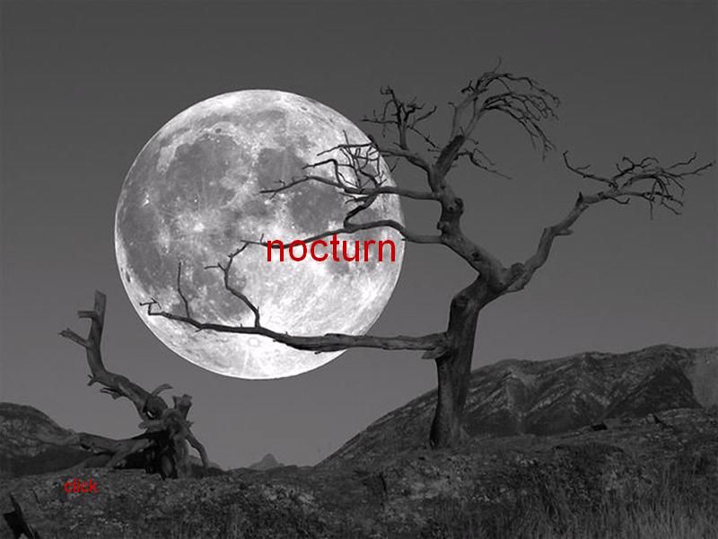 NOCTURN