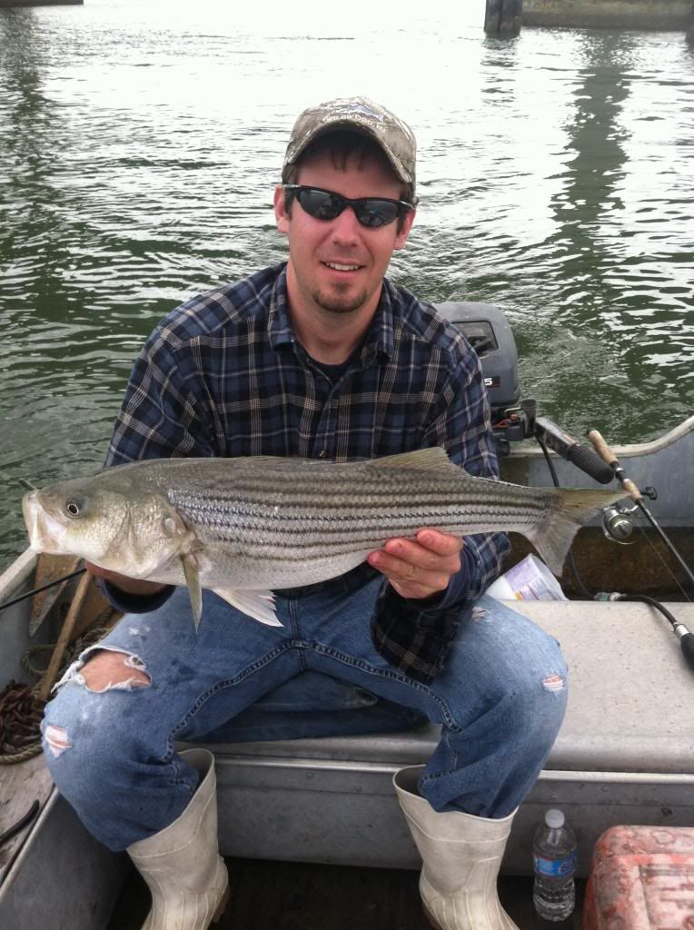 524 Striper Report with Pix!!!!! BASS BARN
