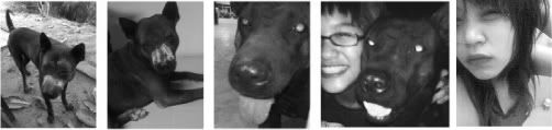 Photo Sharing and Video Hosting at Photobucket
