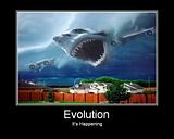 evolution.jpg evolution! image by Doombreed