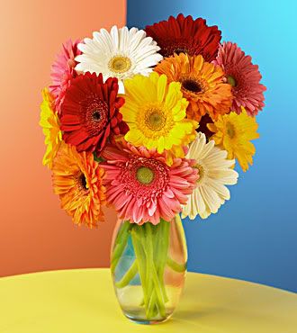 Free Wallpaper Desktop on Daisy Bouquet Wallpaper   Gerbera Daisy Bouquet Desktop Background