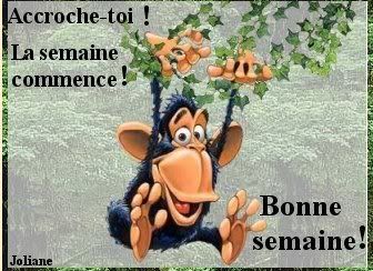 bonne semaine Pictures, Images and Photos