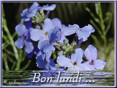 Bon lundi Pictures, Images and Photos