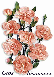 gros-bisous-fleurs.gif gros bisous image by alver1922