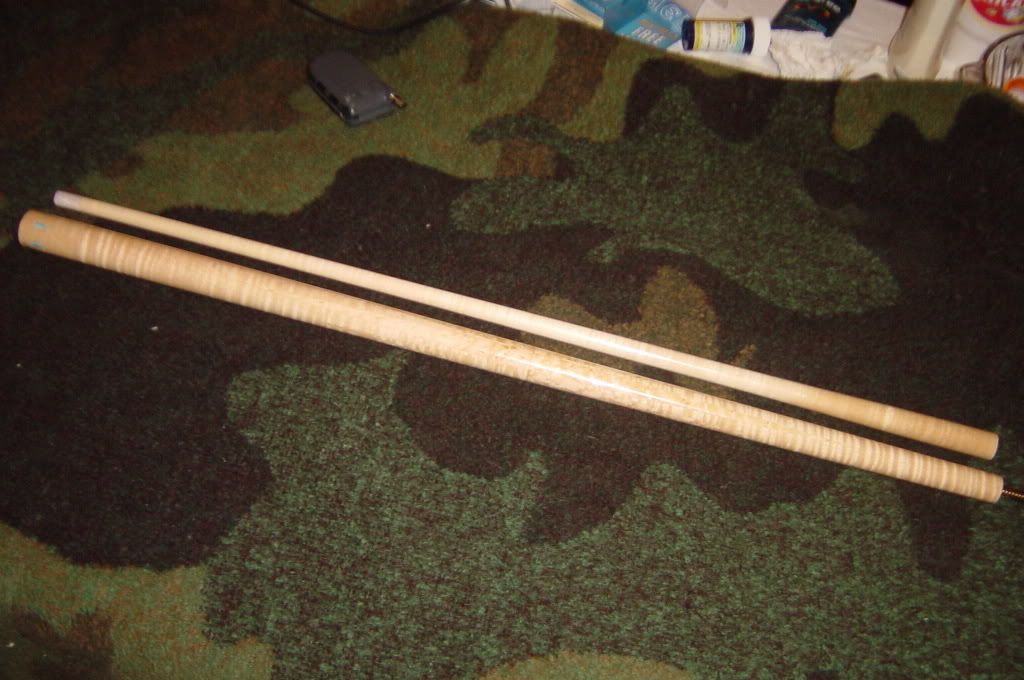 DSC02417.jpg
