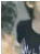 Screenshot2010-11-03at125738AM.png