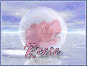  photo reese-pinkroseinbubble-vi.gif
