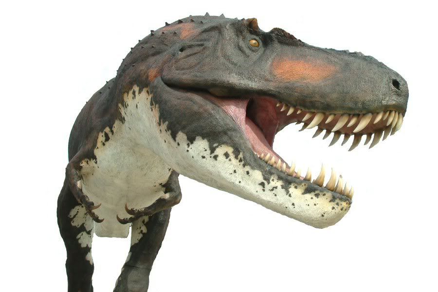 t rex history