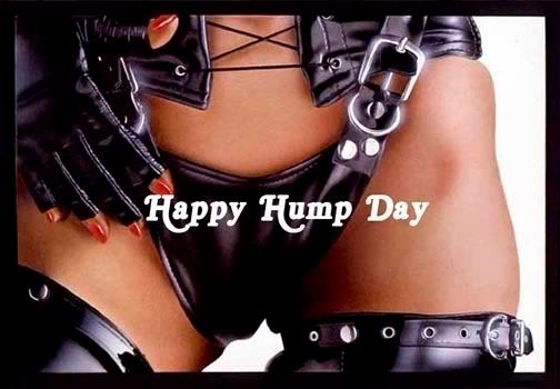 Hump day Pictures, Images and Photos