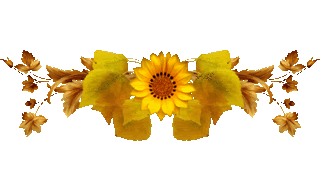 autumn dividers photo: autumn sunflower jwbh3n7a16f.gif