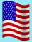 USA Ribbon