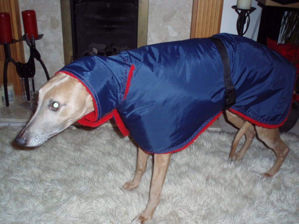 PC170491.jpg