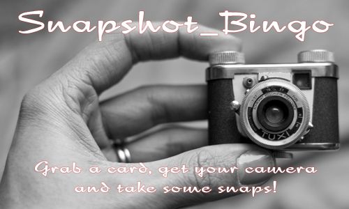 A hand holds a small camera with the logo Snapshot Bingo