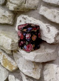 Zippy on the rocks