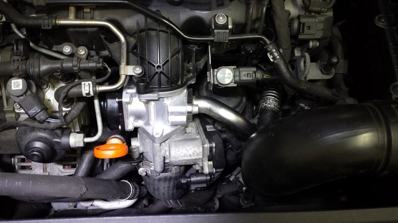 Egr Valve Page 2 General Discussion Mytiguan Forum