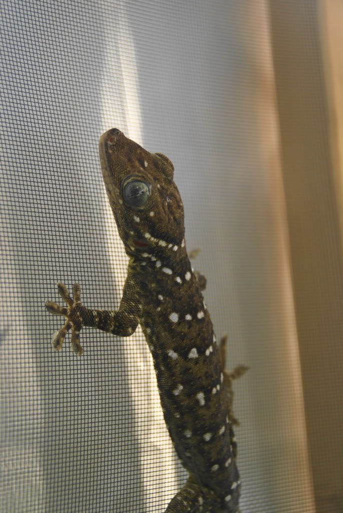 DSC04331.jpg