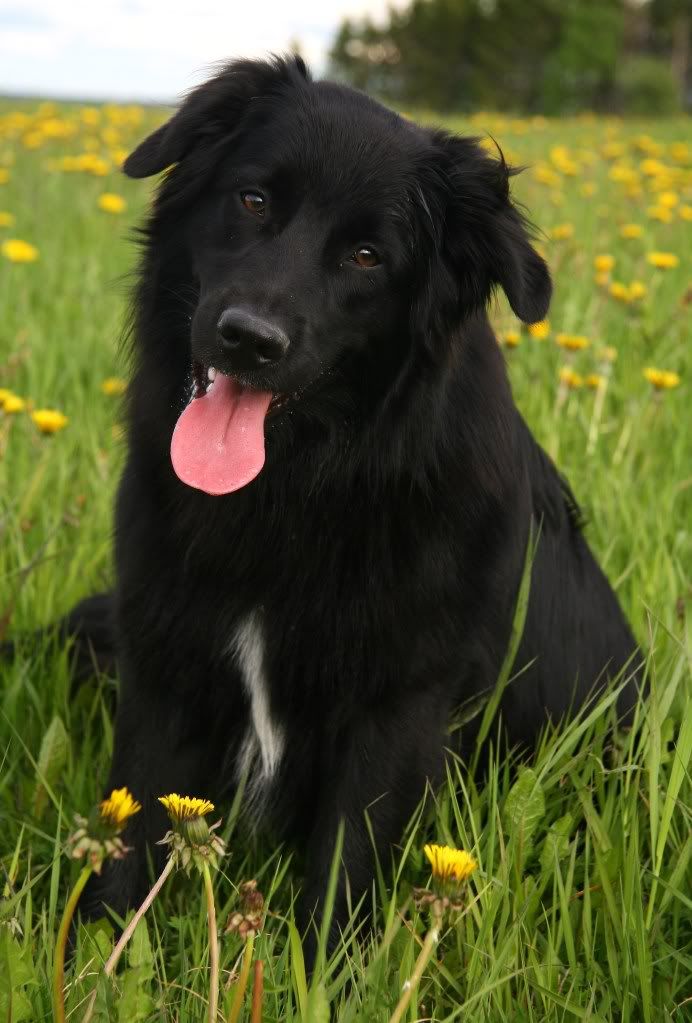 9juni044.jpg picture by sofieplusindra