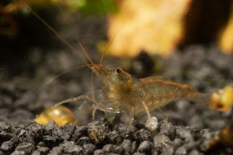 DSCN5130.jpg
