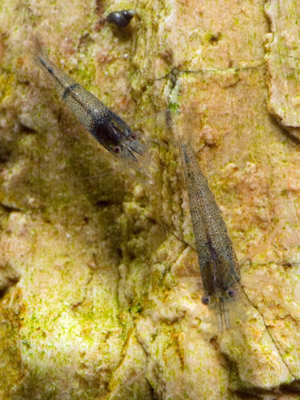 DSCN6154.jpg