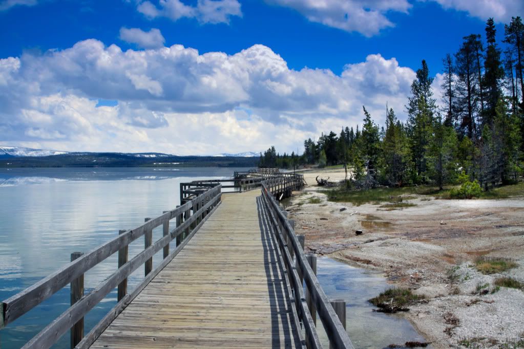 IMAGE: http://i190.photobucket.com/albums/z229/dwarrenr/BoardWalk-3.jpg