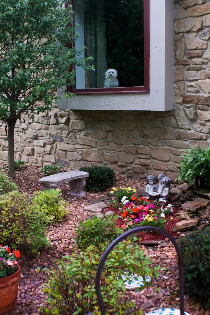 IMAGE: http://i190.photobucket.com/albums/z229/dwarrenr/Editting/House_Edited-2106.jpg