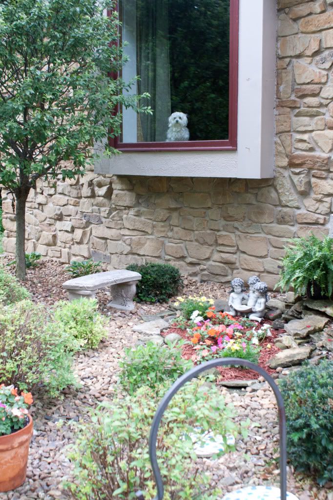 IMAGE: http://i190.photobucket.com/albums/z229/dwarrenr/Editting/House_UE-2106.jpg