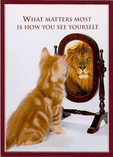 mirror mirror on the wall photo: Lion King animal304.jpg