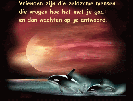 zeldzaam.gif picture by omaEls