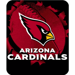 Cardinals Pictures, Images and Photos