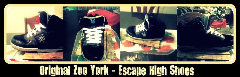 Skateboarding+logos+zoo+york