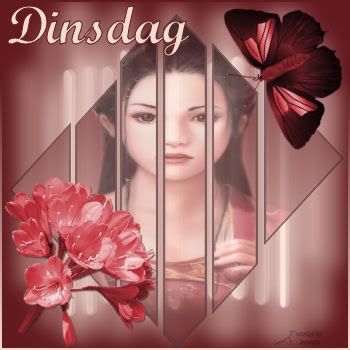 dinsdag Pictures, Images and Photos
