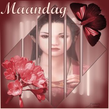 maandag Pictures, Images and Photos