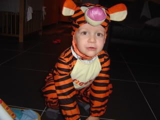 tijgertje1