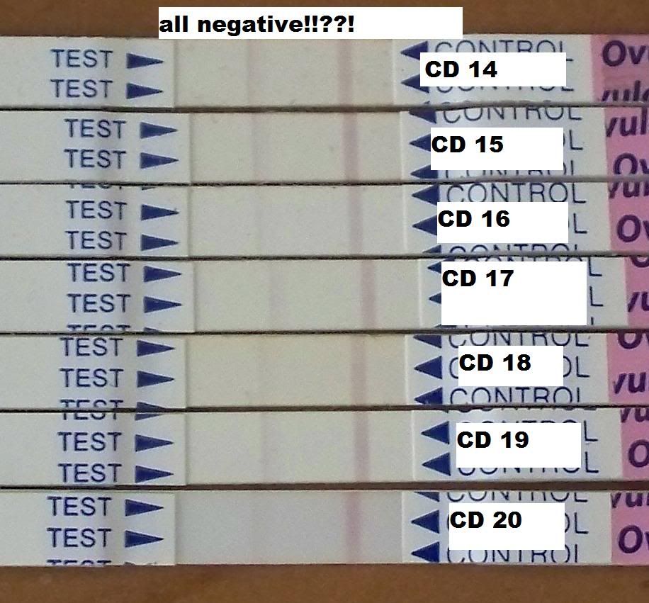 opk tests