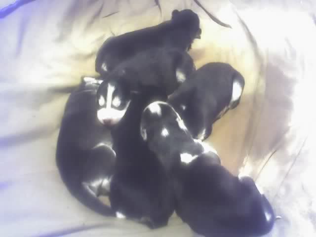 01-02-12_2107.jpg