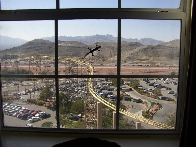 view from room Buffalo Bills