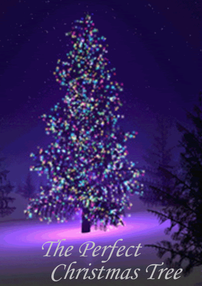 The Perfect Christmas Tree