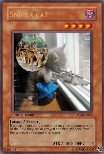 snipercat.jpg