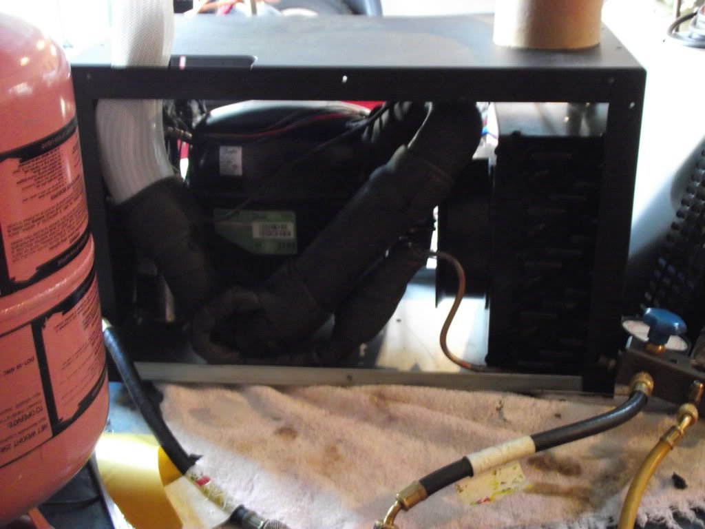 DSCF7372.jpg