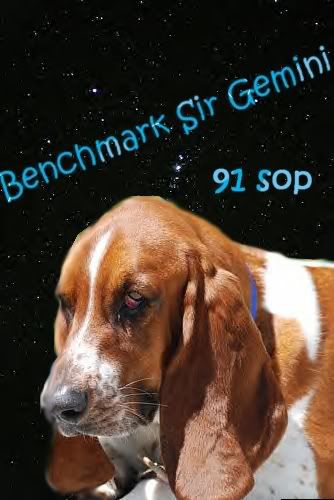 Benchmark Sir Gemini