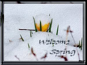 WelcomeSpring