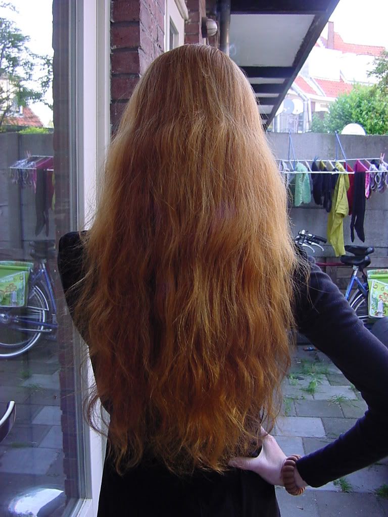 Doel: 30 dagen updo challenge DSC06538 Doel: 30 dagen updo challenge