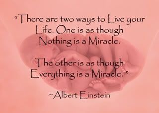 pro-life Einstein quote Pictures, Images and Photos