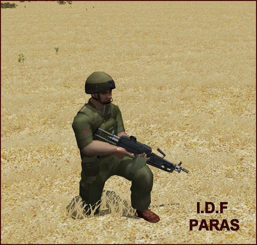 IDF-Para.jpg