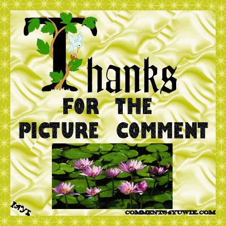 AnimationTHANKSFORTHEPICTURECOMMENT.gif image by bellm1987