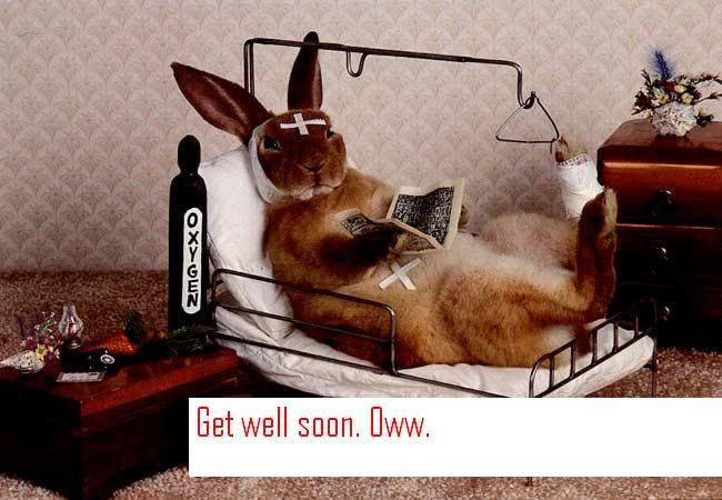 c1b6.jpg get well soon rabbit image by ailatoi_luv