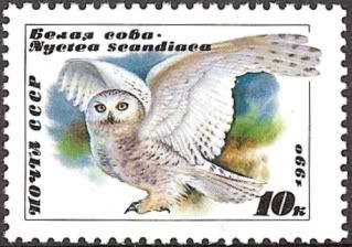 Owl Postage Stamp