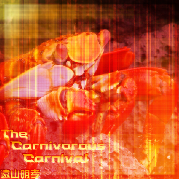 http://i190.photobucket.com/albums/z68/blueskirby/kanikanibgcopy.png